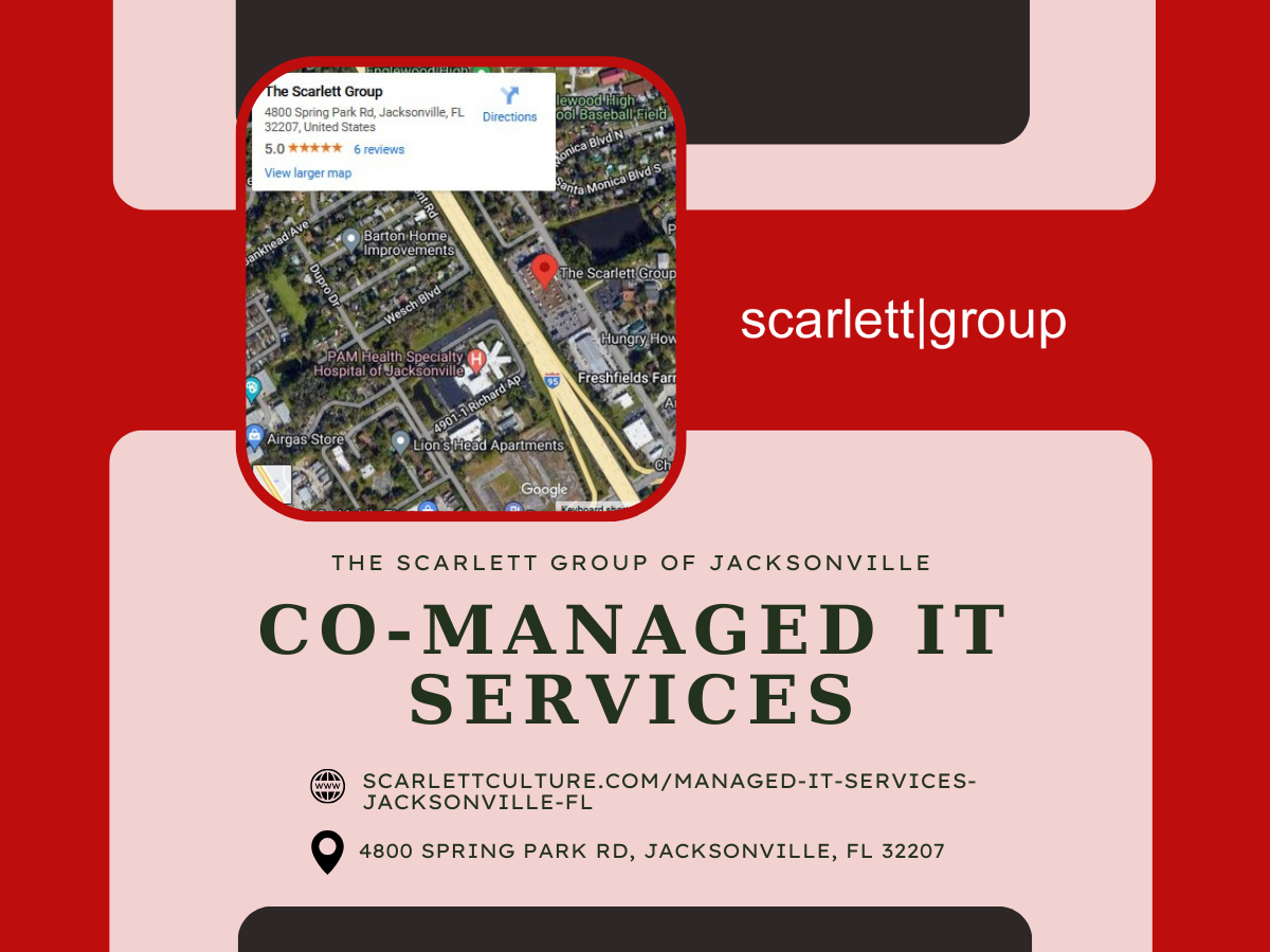 Co-Managed IT Services